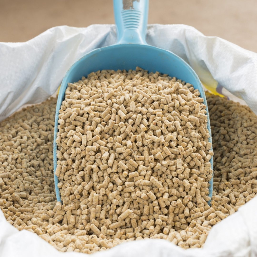 Animal Feed