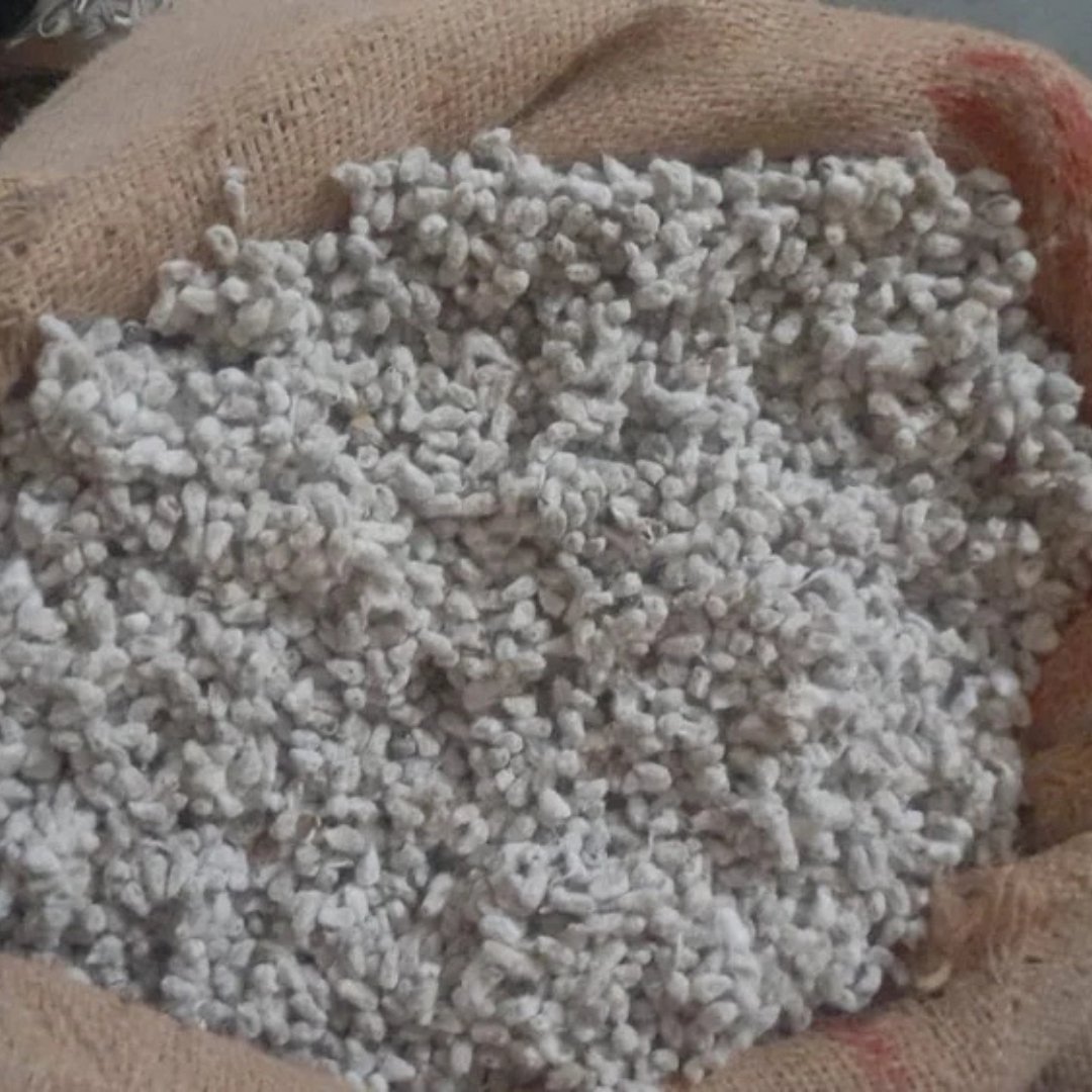 Big Bt Cotton Seed