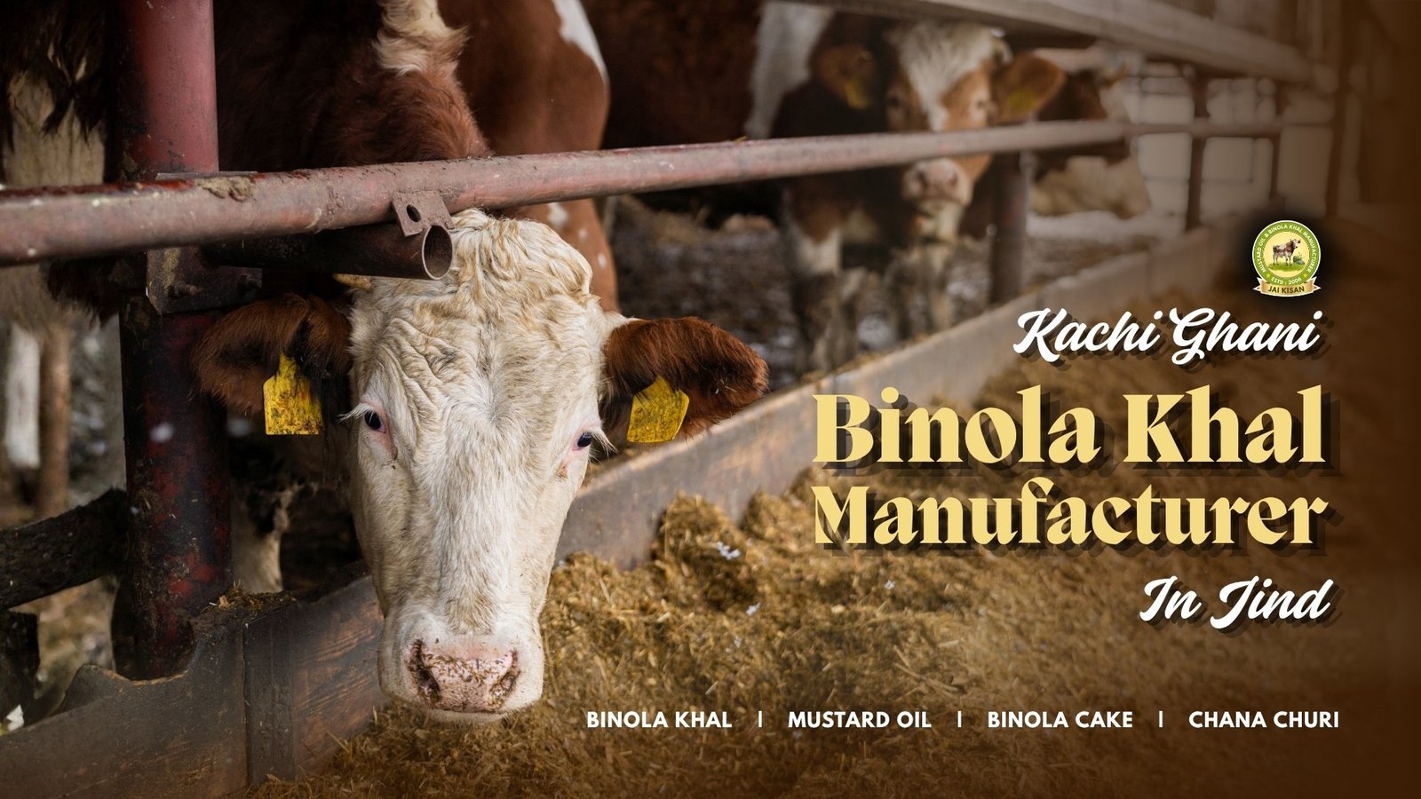 Kachi Ghani Binola Khal Manufacturer In Jind