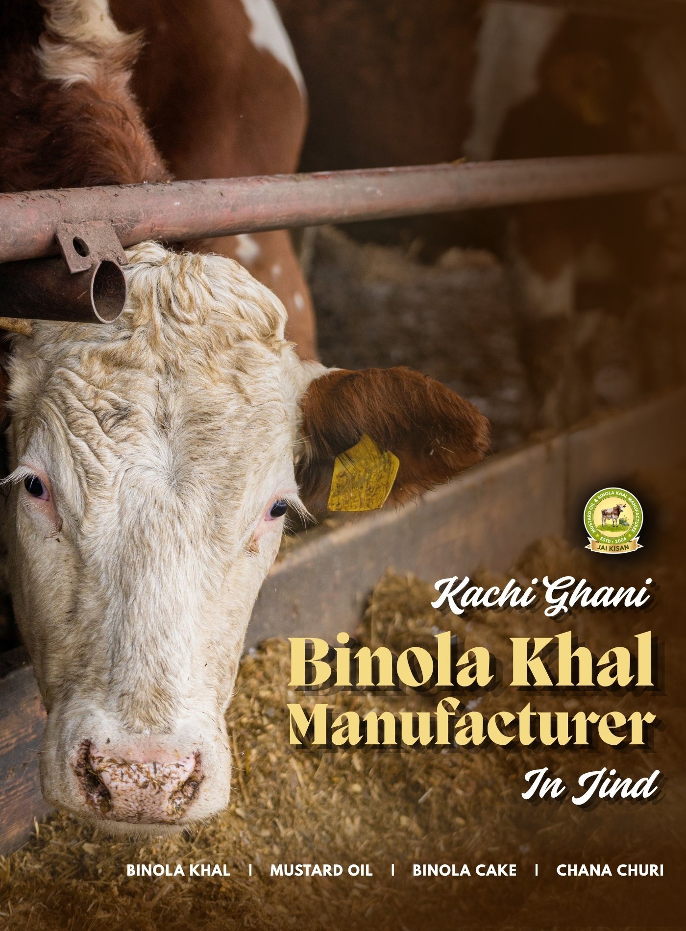 Kachi Ghani Binola Khal Manufacturer In Jind